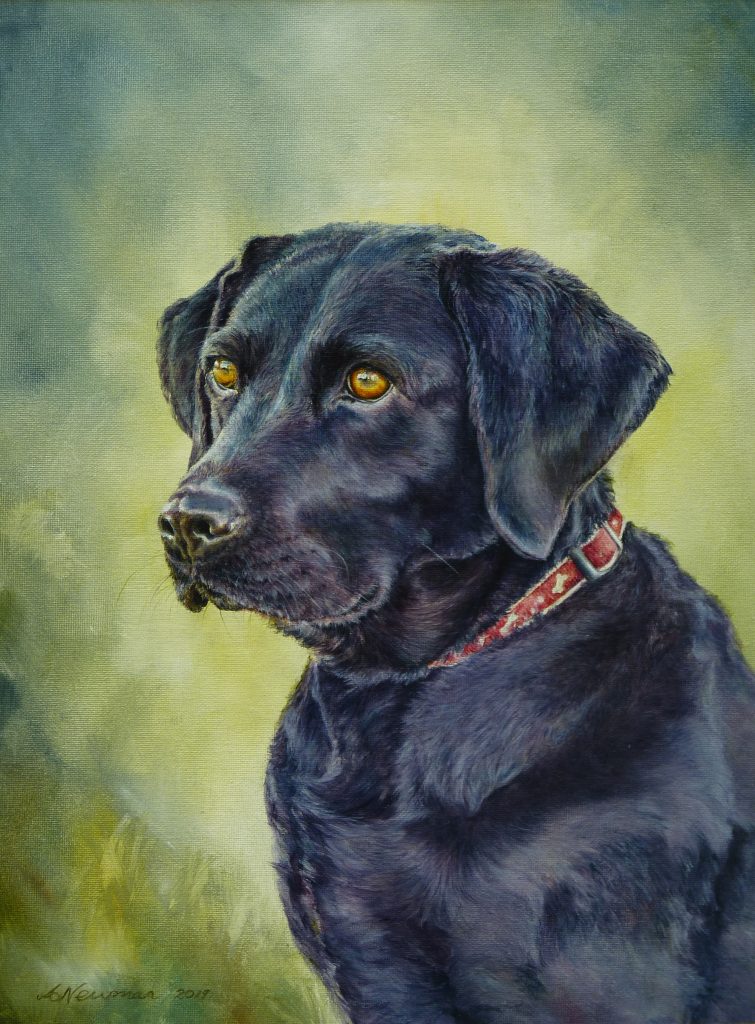 Black Labrador oil painting