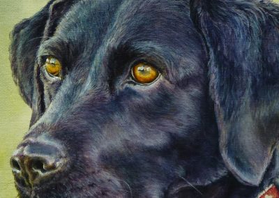 Black Labrador – oil painting